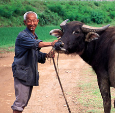 小型飼料顆粒機,農民圓夢！